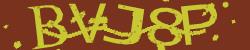 BotCaptcha.
